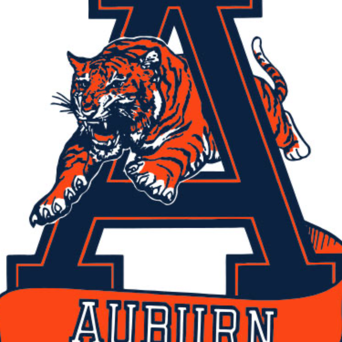 tiger in an A