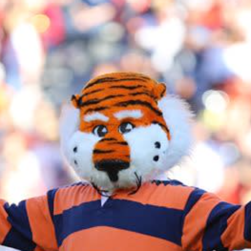 aubie